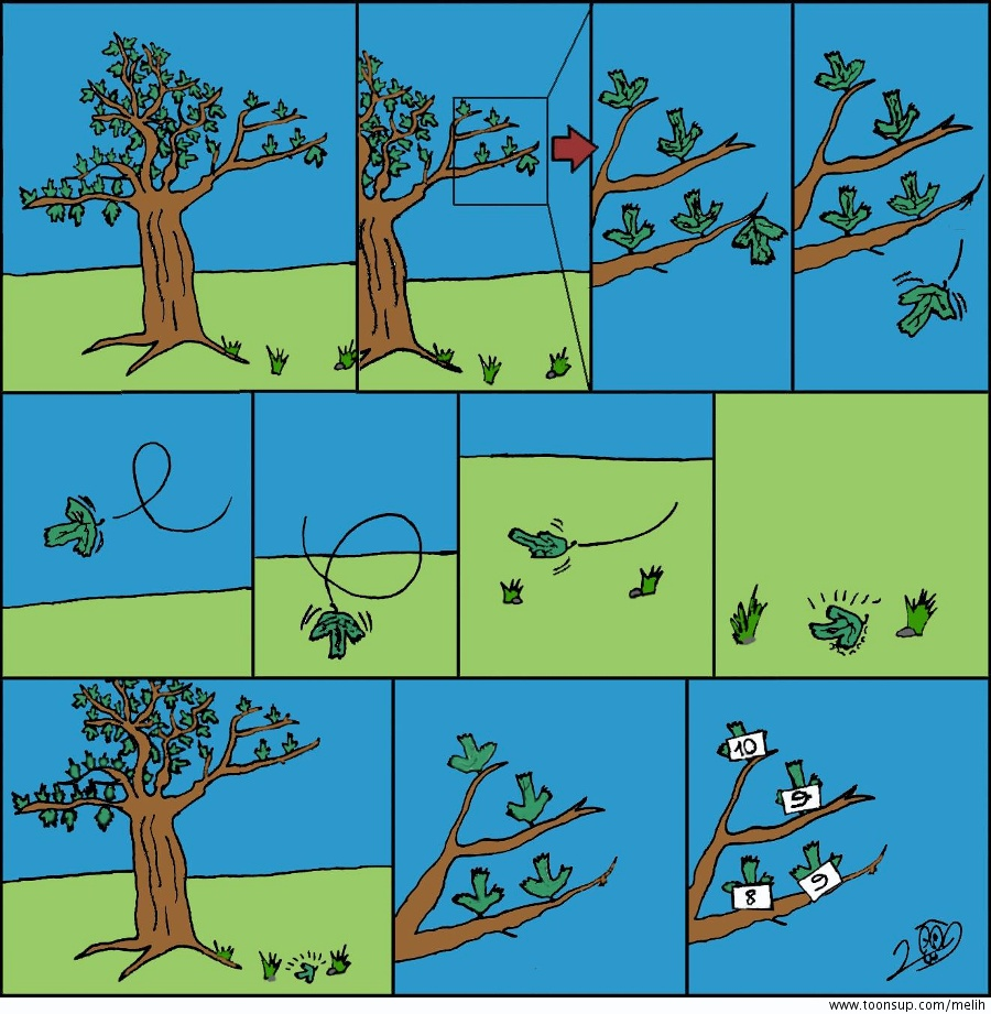 Cartoon: fall 1