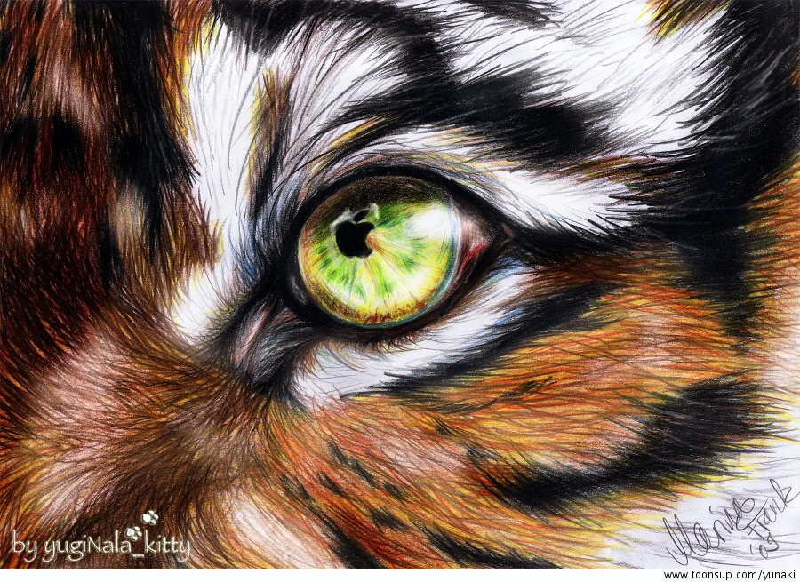 Other: Mac OS X Tiger 1
