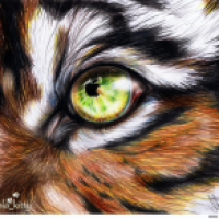 Mac OS X Tiger