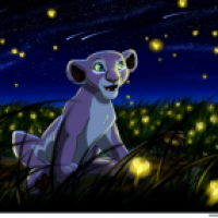 Nala and the fireflies