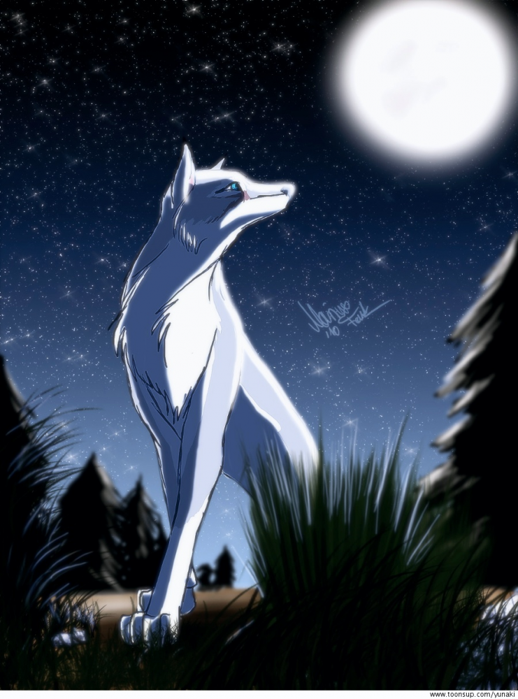 Illustration: Moonshine 1