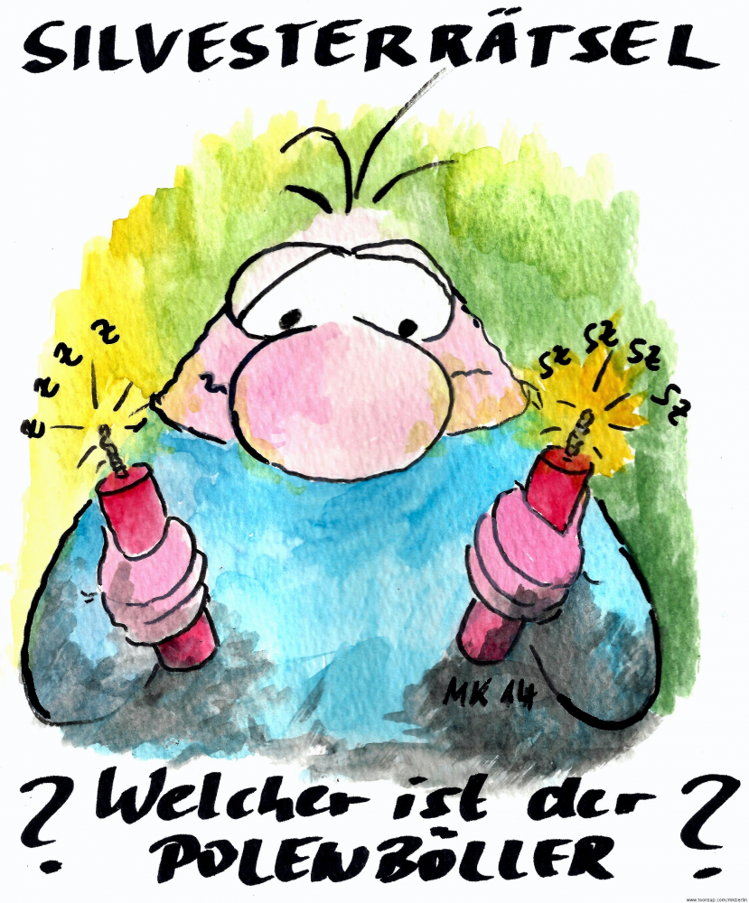 Cartoon: Silvesterrätsel 1