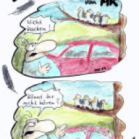 Die Tauben