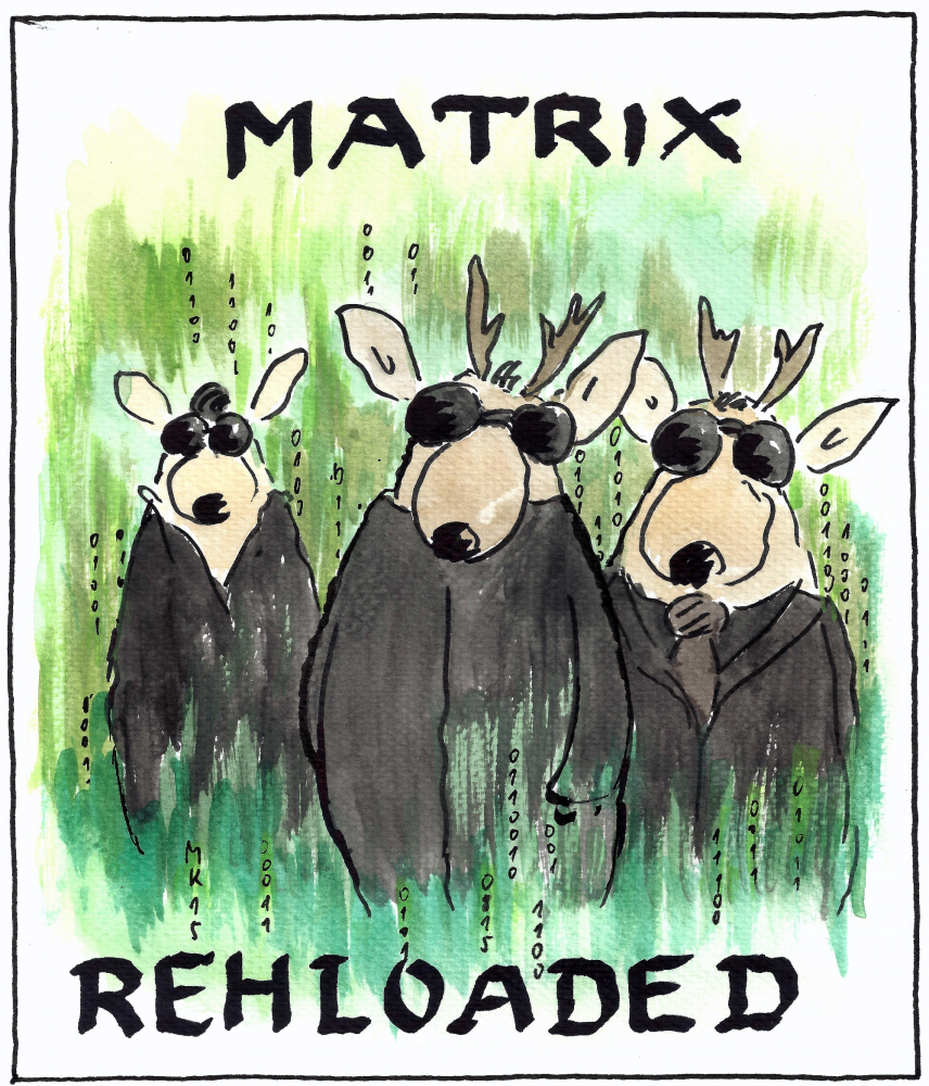 Cartoon: Matrix 1
