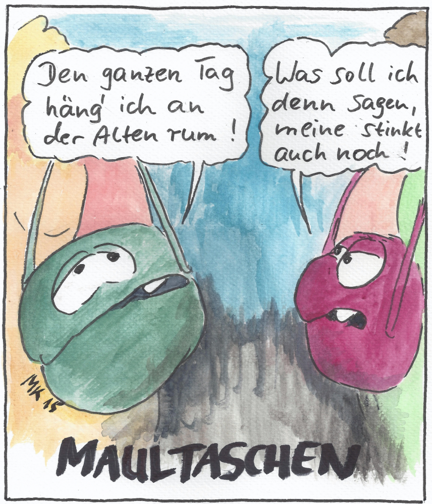 Cartoon: MT 1