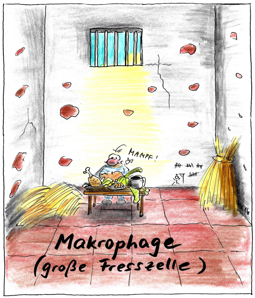 Cartoon: Biologie für Hungrige 1
