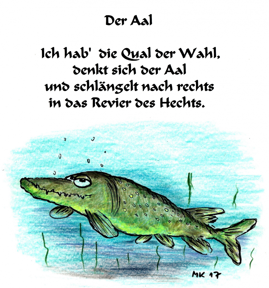 Cartoon: Der Aal 1