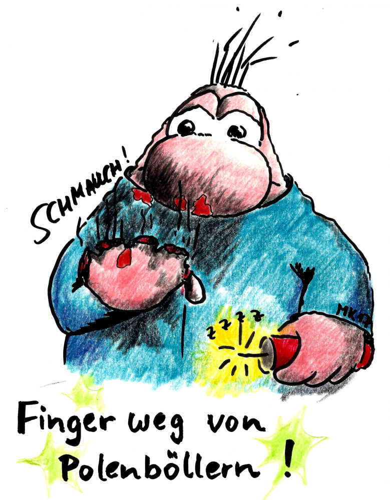 Cartoon: Böller! 1