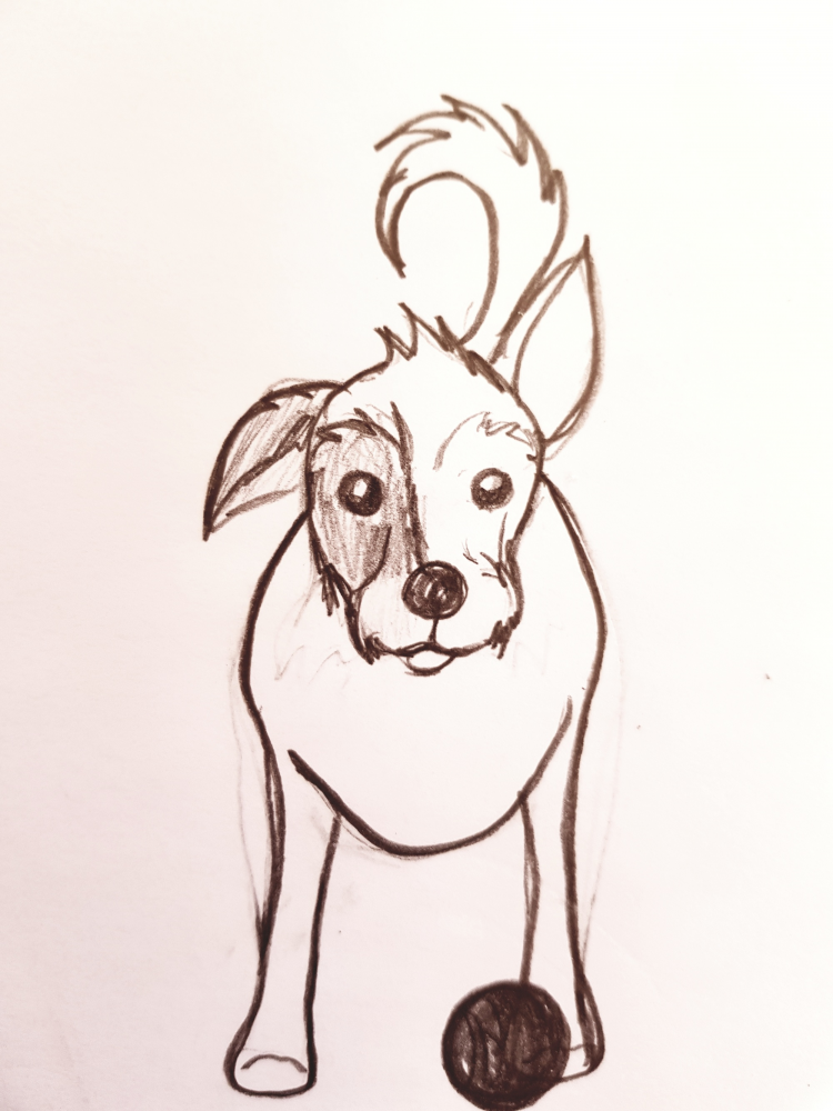 Illustration: Kasimir jack russell Mischling 1