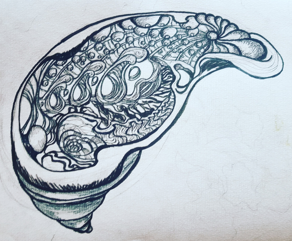 Illustration: Irgendwas muscheliges 1