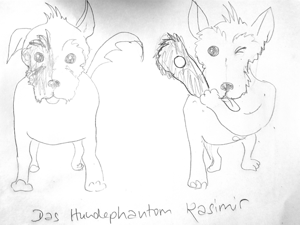 Illustration: Mein Hund inkognito 1