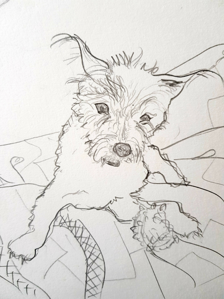 Other: Kasimir - Parson Jackrussell 1