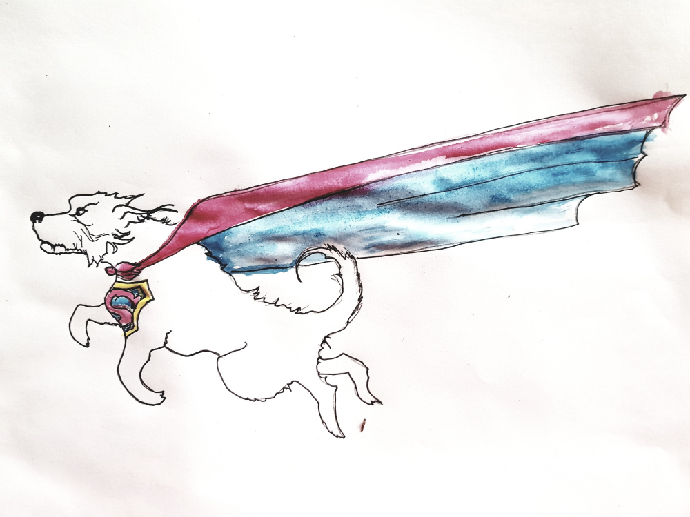 Concept Art / Character Design: Superdog 2