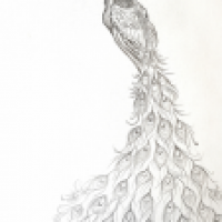 Pfau 2 ( entspannt)
