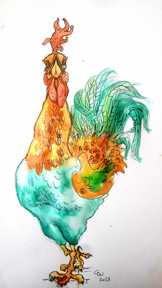 Illustration: Kikeriki 1