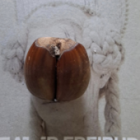 Nussgesicht