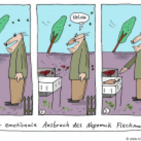 Nepomuk Fleckmat
