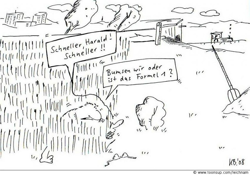 Cartoon: Schneller, Harald! 1
