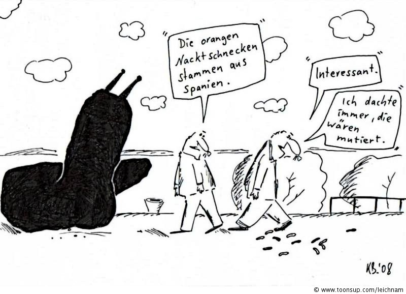 Cartoon: orangenfarben 1