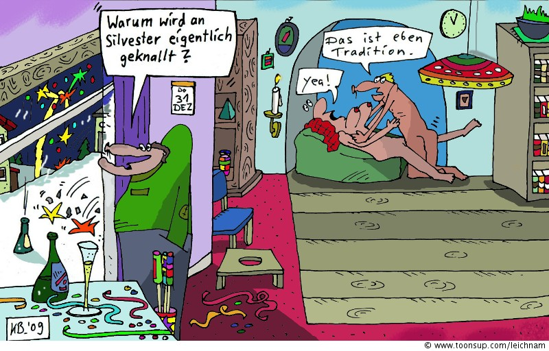 Cartoon: Knallerei 1