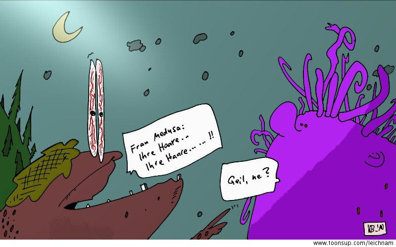 Comic: Ihre Haare 1