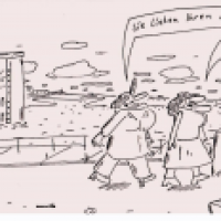 Frauen unter sich