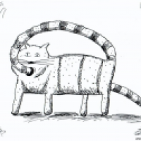 Katze