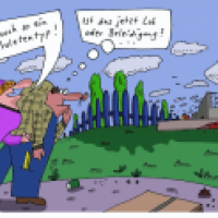 Lob oder ...
