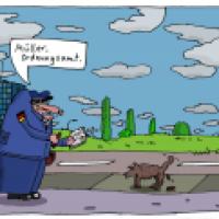 Hund