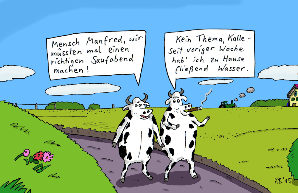 Cartoon: richtig 1