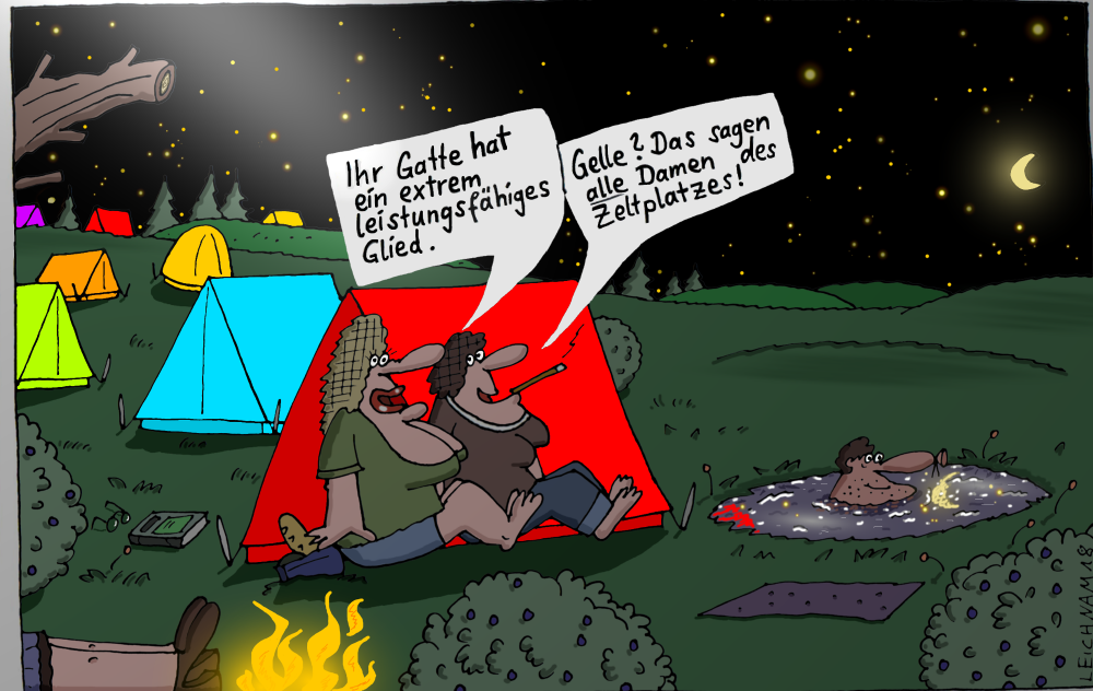 Cartoon: Des Nachts 1