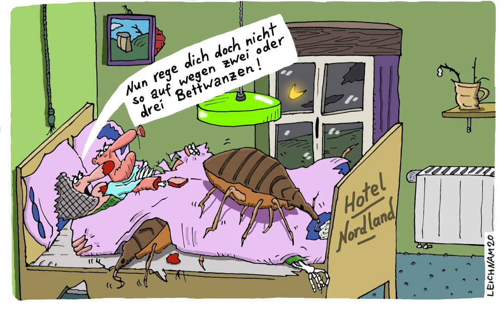 Cartoon: Hotel 1