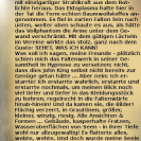 ZW 5