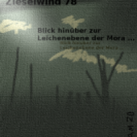ZW 78