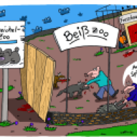 Zoo