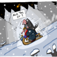 Winter