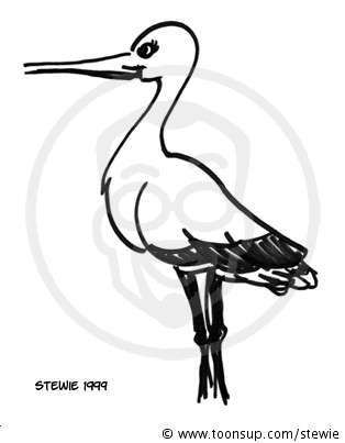 Illustration: Storch 1