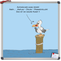 Möwe