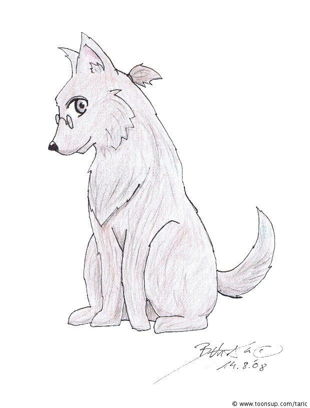 Illustration: Ndier 1