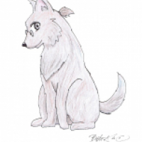 Ndier