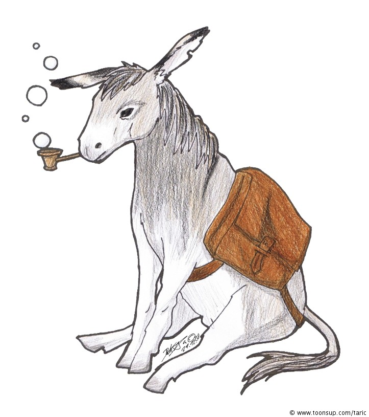Illustration: Party - No. 5 - The Donkey - Coloration 1