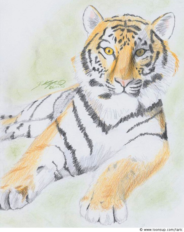 Illustration: Tischer 1