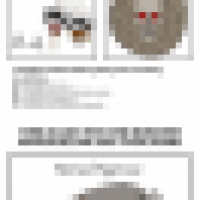 Inner Monster Meme Ver. 3