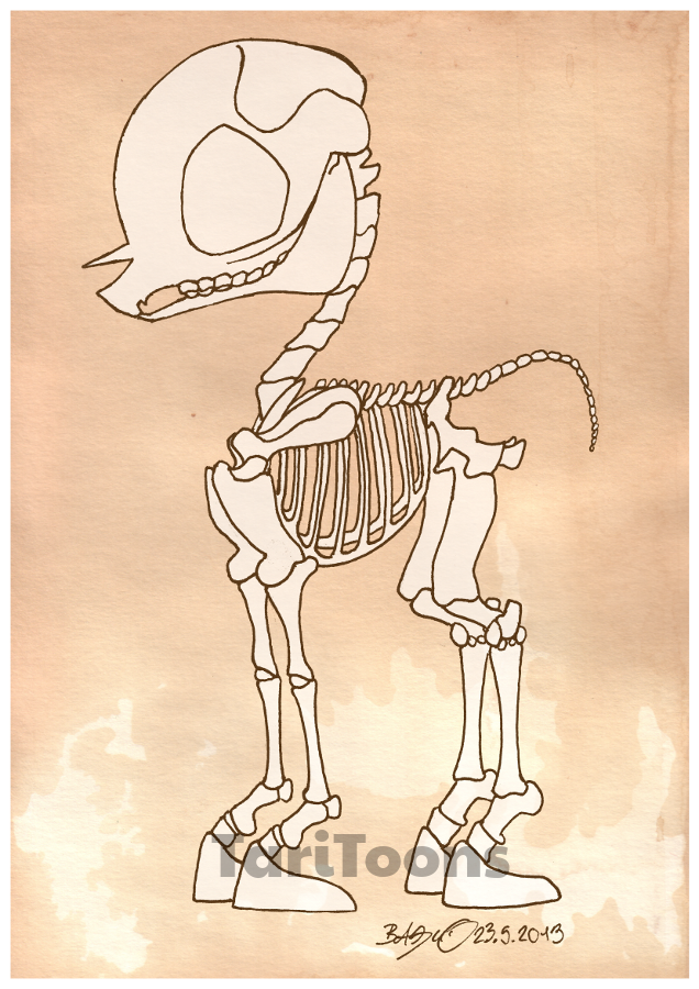 Concept Art / Character Design: Pony Skelett 1