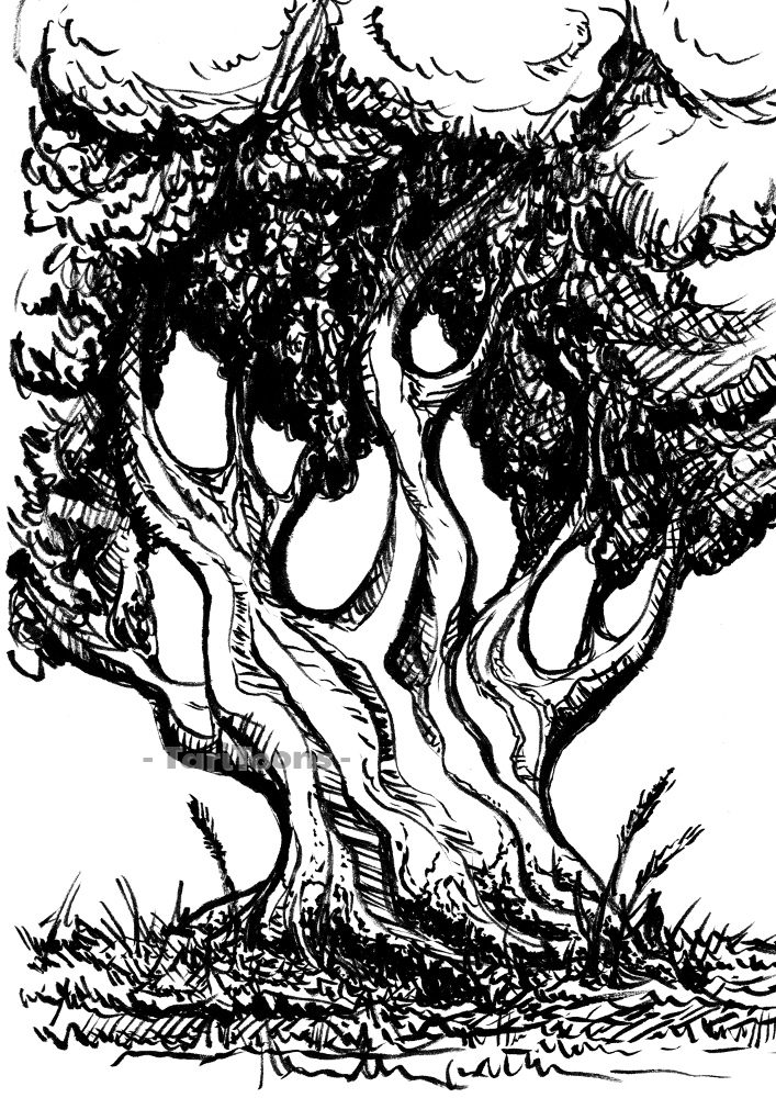 Illustration: Baum Studien 2