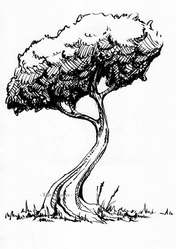 Illustration: Baum Studien 3