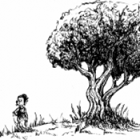 Baum Studien