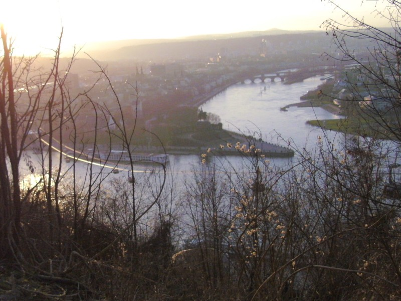 Other: Fotos - ToonsUp Treff Koblenz 31.1.2015 9