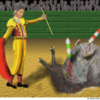 Bull-snail