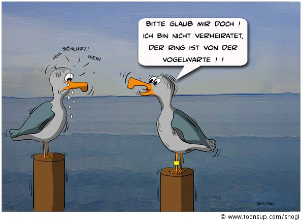 Cartoon: Möwenkummer 1